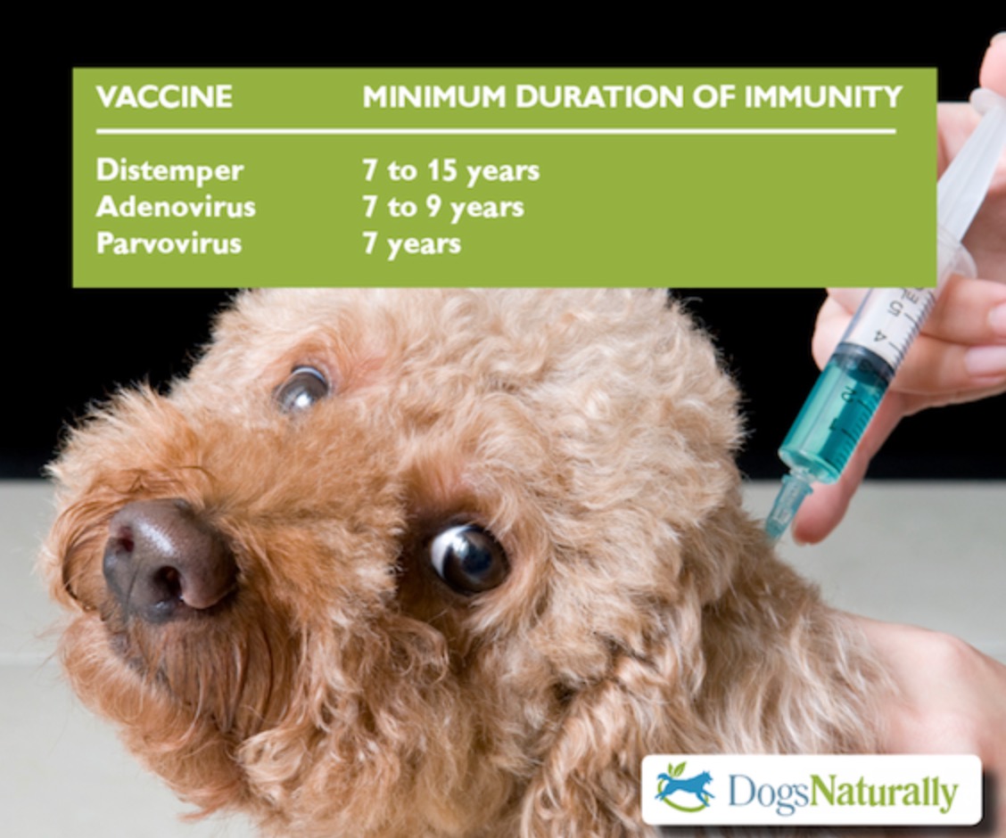 Immunity Duration