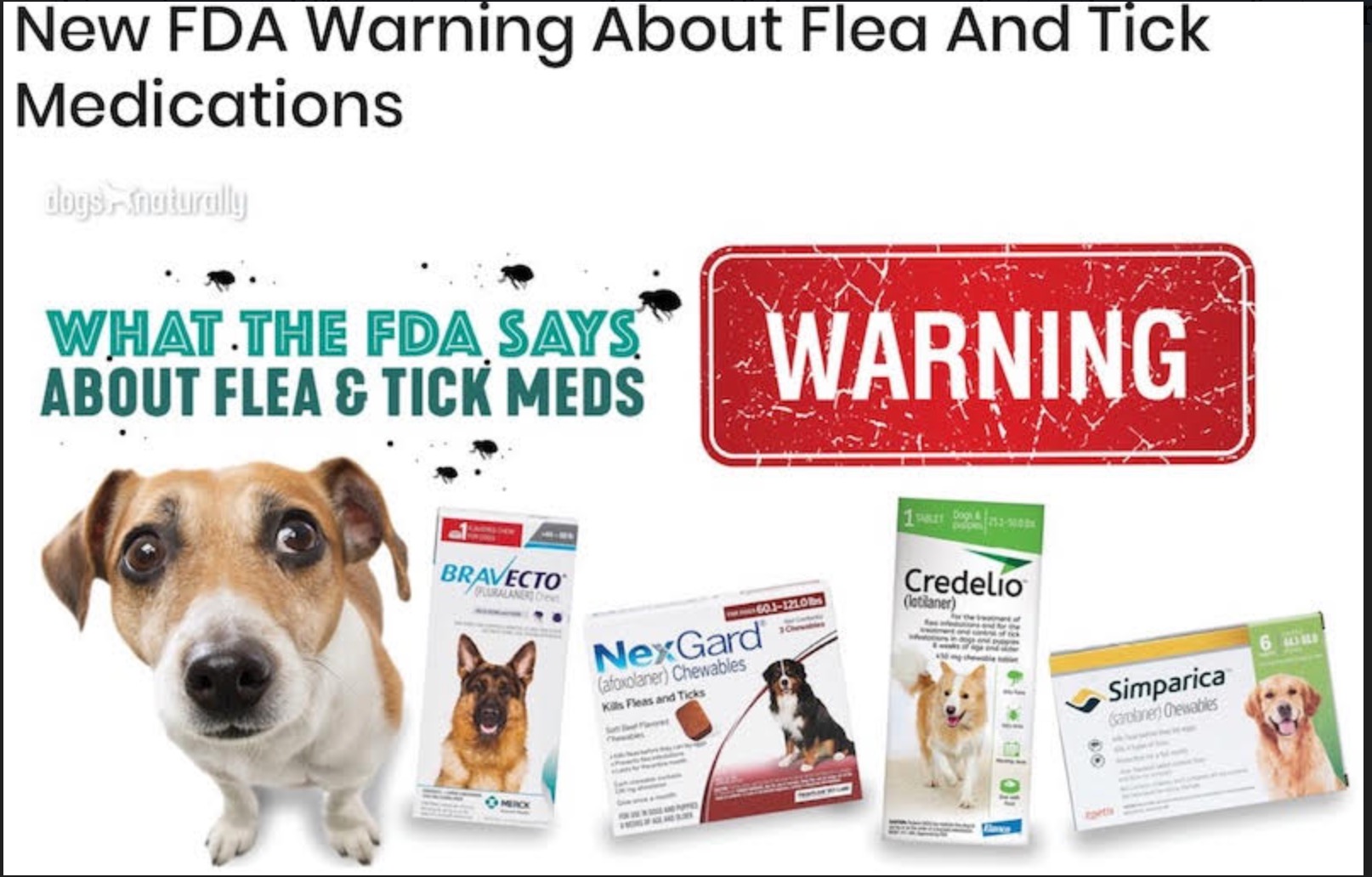 Warning about Flea and Tick Medications